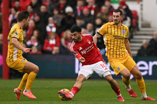 和善于把握 和善于把握